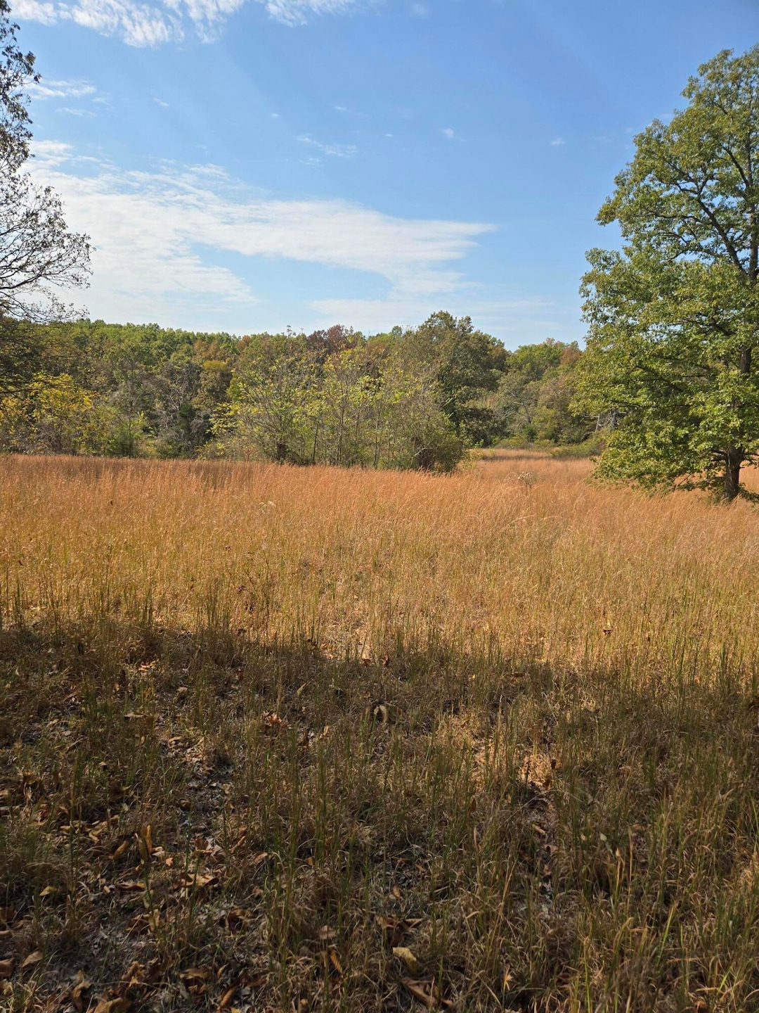 Lot 11 Arden Ridge, Ava, MO 65608 - photo 1