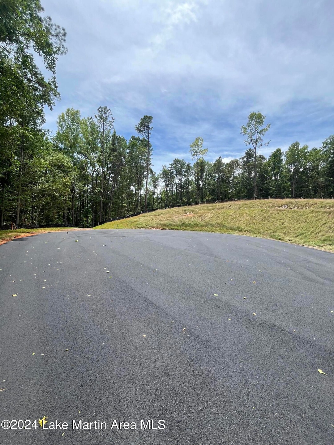 0 Centerport Rd unit 24-1091, Dadeville, AL 36853 - photo 1