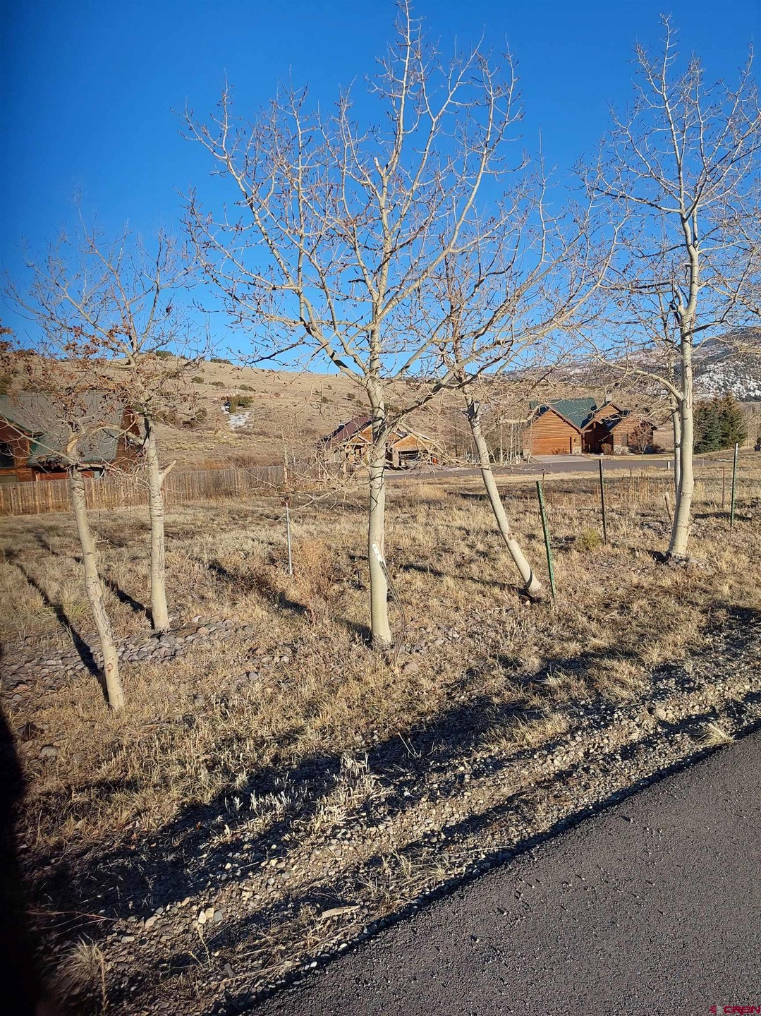 Looking SW from road to lot. Great aspen trees pla