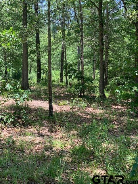 14358 Big Oak Bay Rd, Tyler, TX 75707 - photo 1