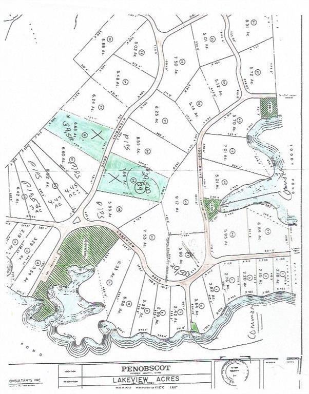 Original Lakeview Acres subdivision...