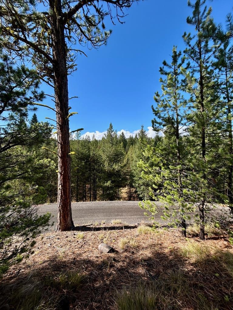 50 Sawtooth Loop unit Lot 30, Cascade, ID 83611 - photo 1