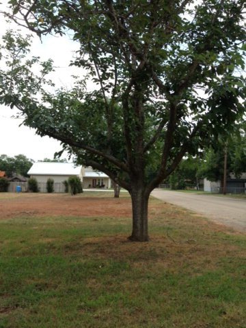 611 Whitney St unit 14, Fredericksburg, TX 78624 - photo 1