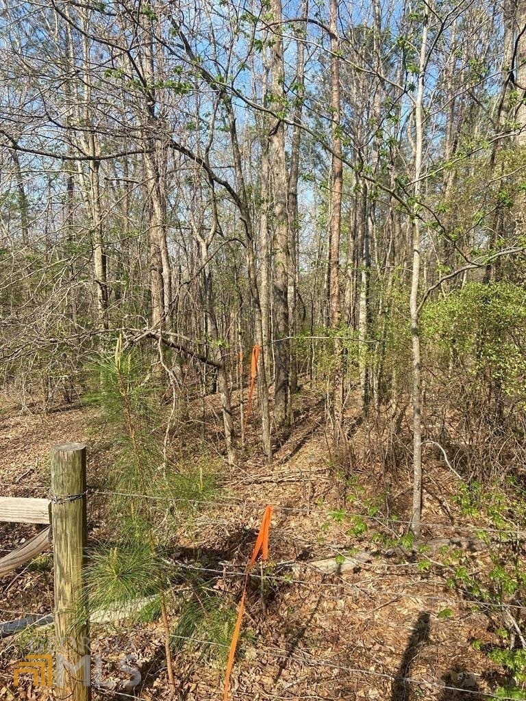 Marked property lines