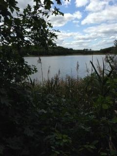 39 Rosepoint Ave, West Wareham, MA 02576 - photo 1