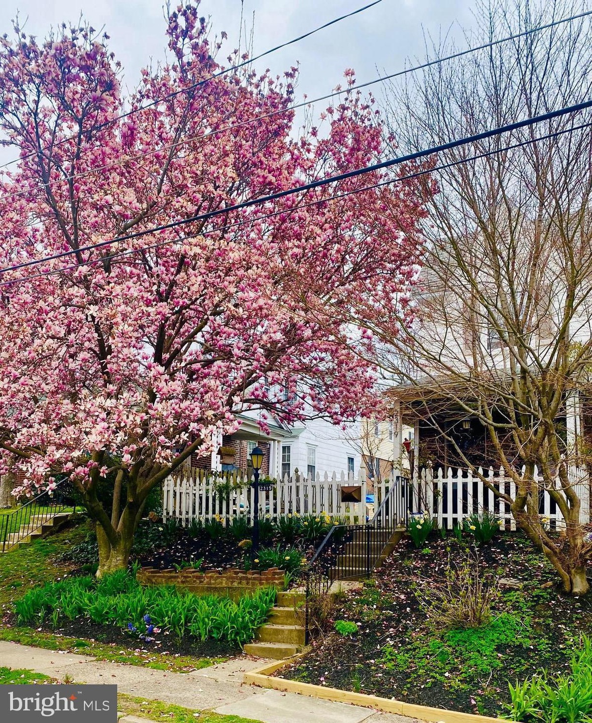 2319 Belmont Ave, Ardmore, PA 19003 - photo 1