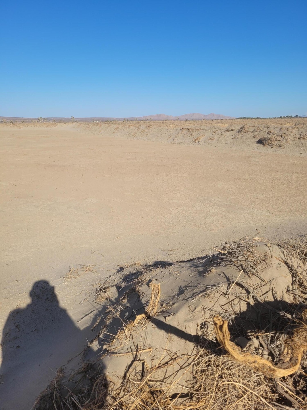 113th Ste E Vic Avenue F12 113 Ste Rd, Lancaster, CA 93535 - photo 1