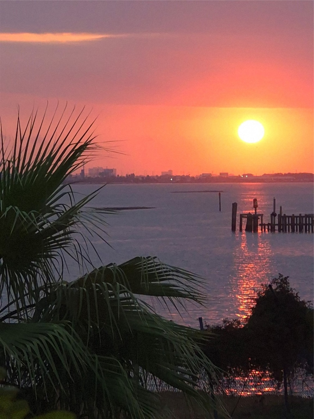 500 Tiki Dr unit 107B, Galveston, TX 77554 - photo 1