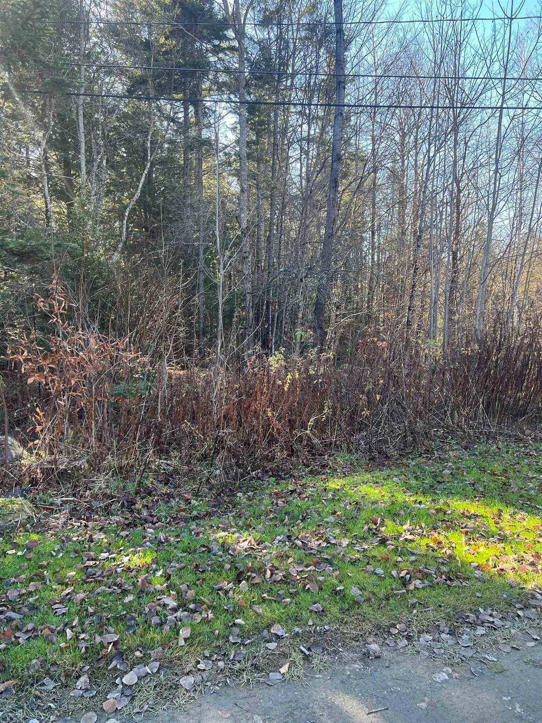 36 Davis Mowing, Wilmington, VT 05363 - photo 1