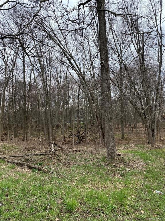 208 S Montgomery St, Walden, NY 12586 - photo 1