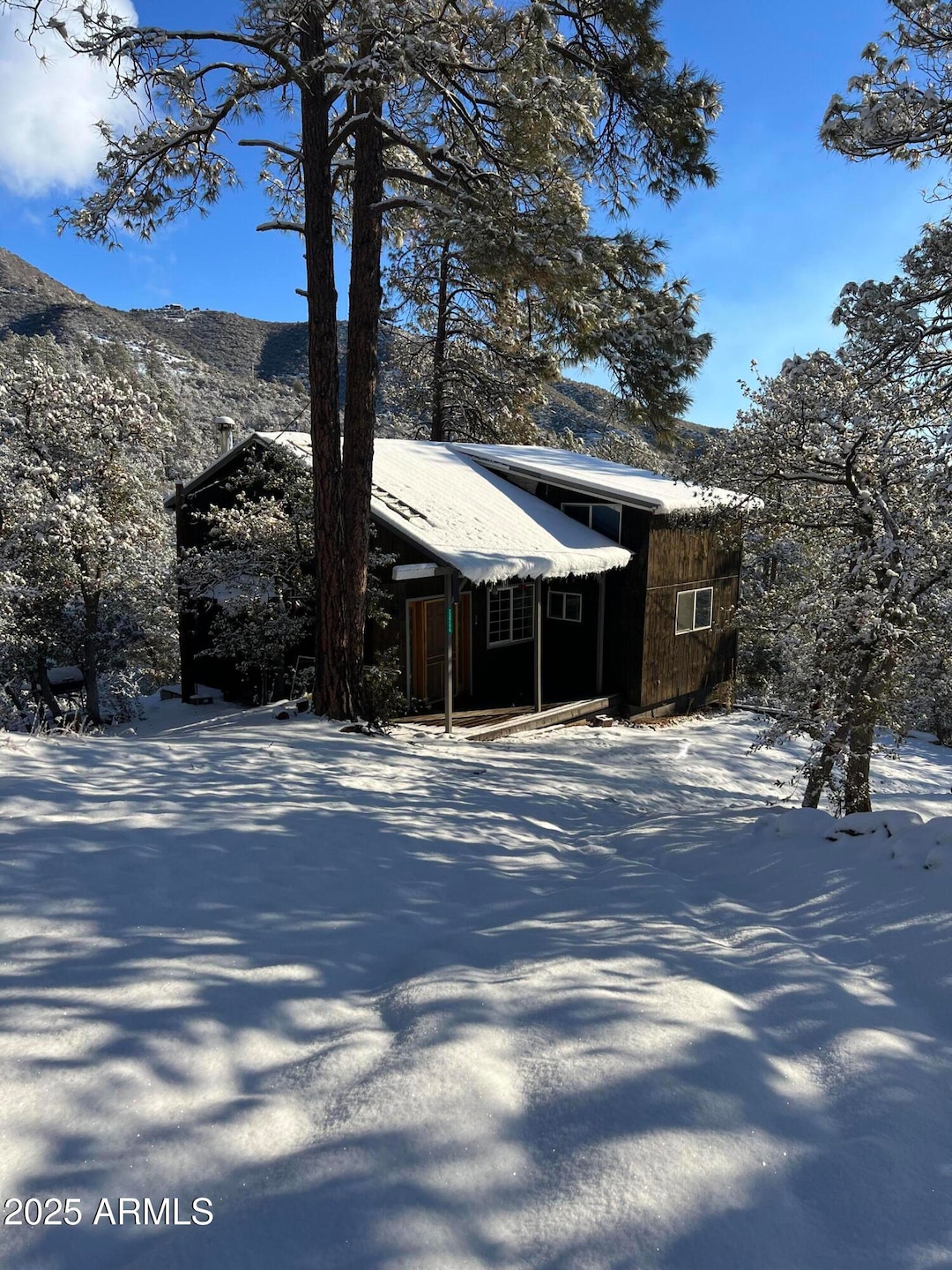 Cabin in the snow