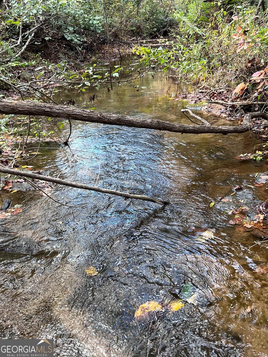 8300 Mud Creek Rd, Alto, GA 30510 - photo 1