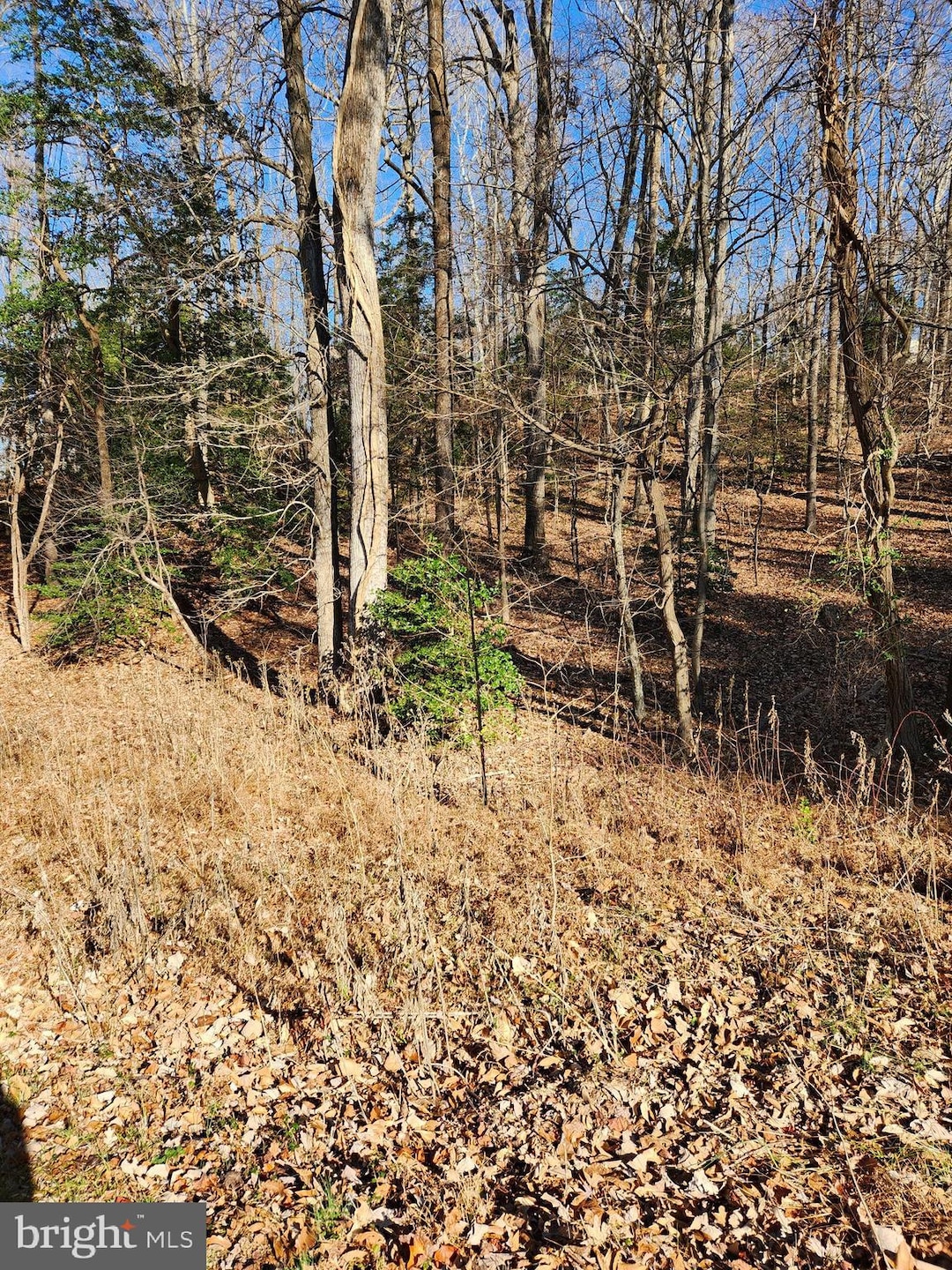 Lot 72 Plantation, Montross, VA 22520 - photo 1
