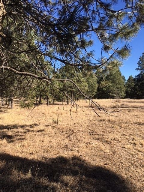 0 Count Ln unit 31, Flying H, NM 88339 - photo 1