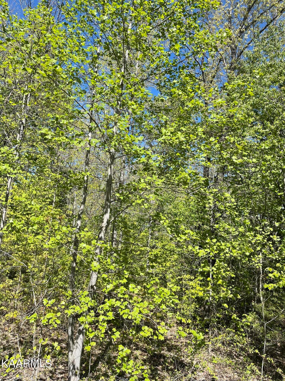 Lot 10 Tanner Way, Crossville, TN 38571 - photo 1