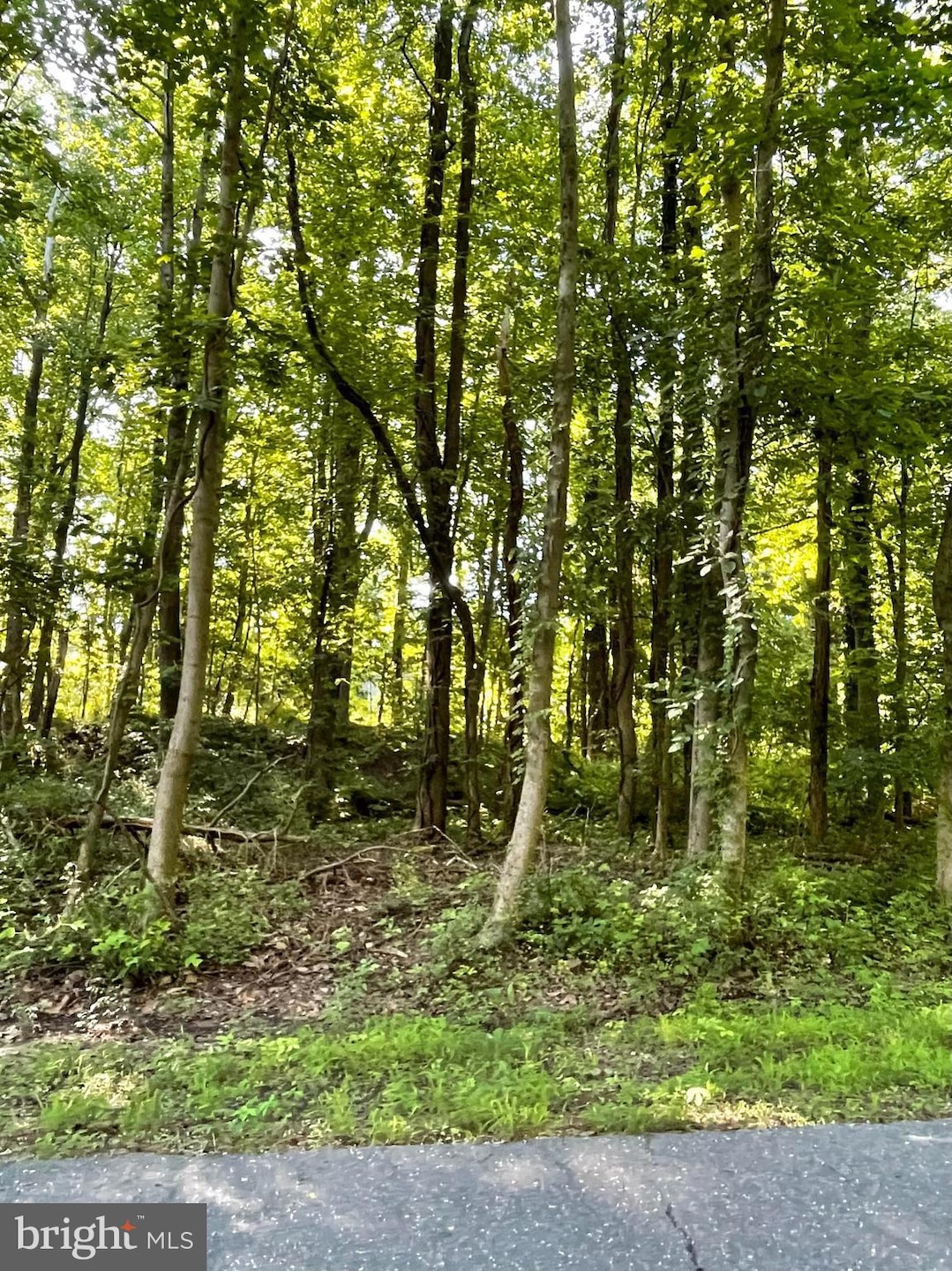 4329 Flora Ave, Prince Frederick, MD 20678 - photo 1