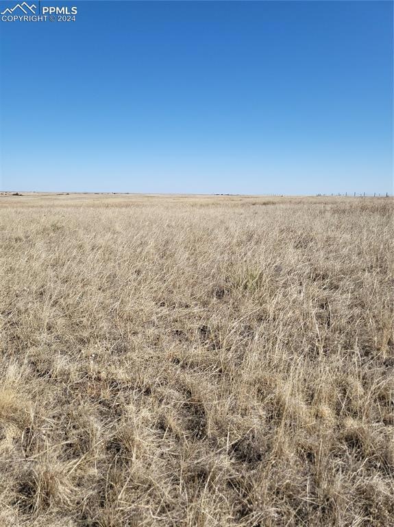 View of local wilderness with a rural view