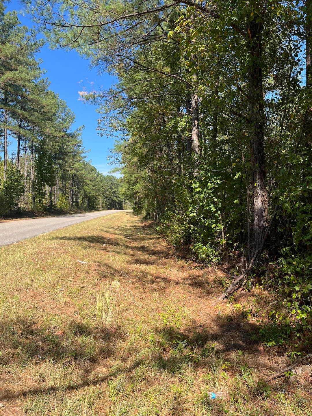 0 Pleasant Grove Rd, Louisville, MS 39339 - photo 1