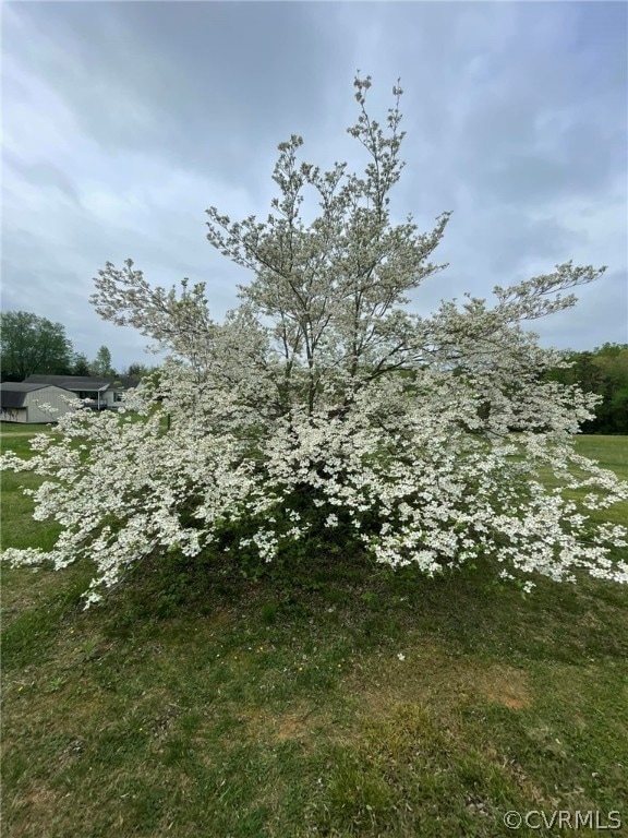 16046 Madison Run Rd, Gordonsville, VA 22942 - photo 1