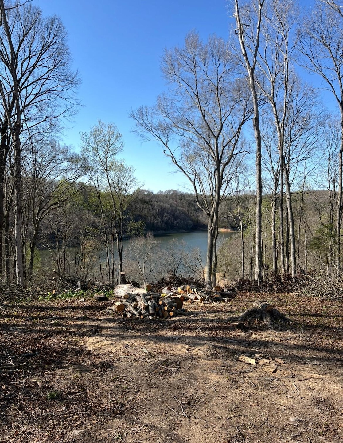 12 W Old Jamestown Rd, Russell Springs, KY 42642 - photo 1