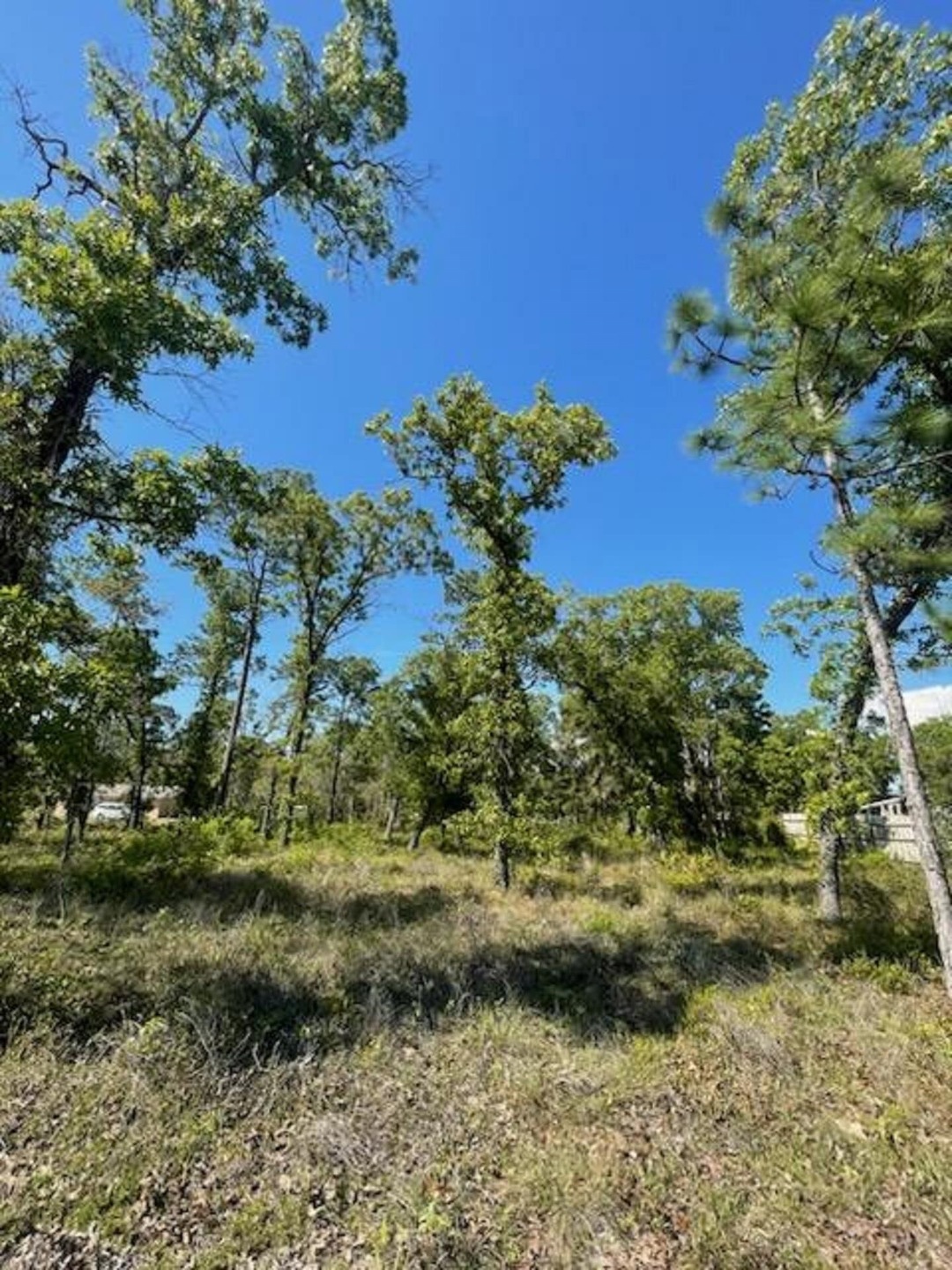 000 Red Oak Rd, Keaton Beach, FL 32348 - photo 1