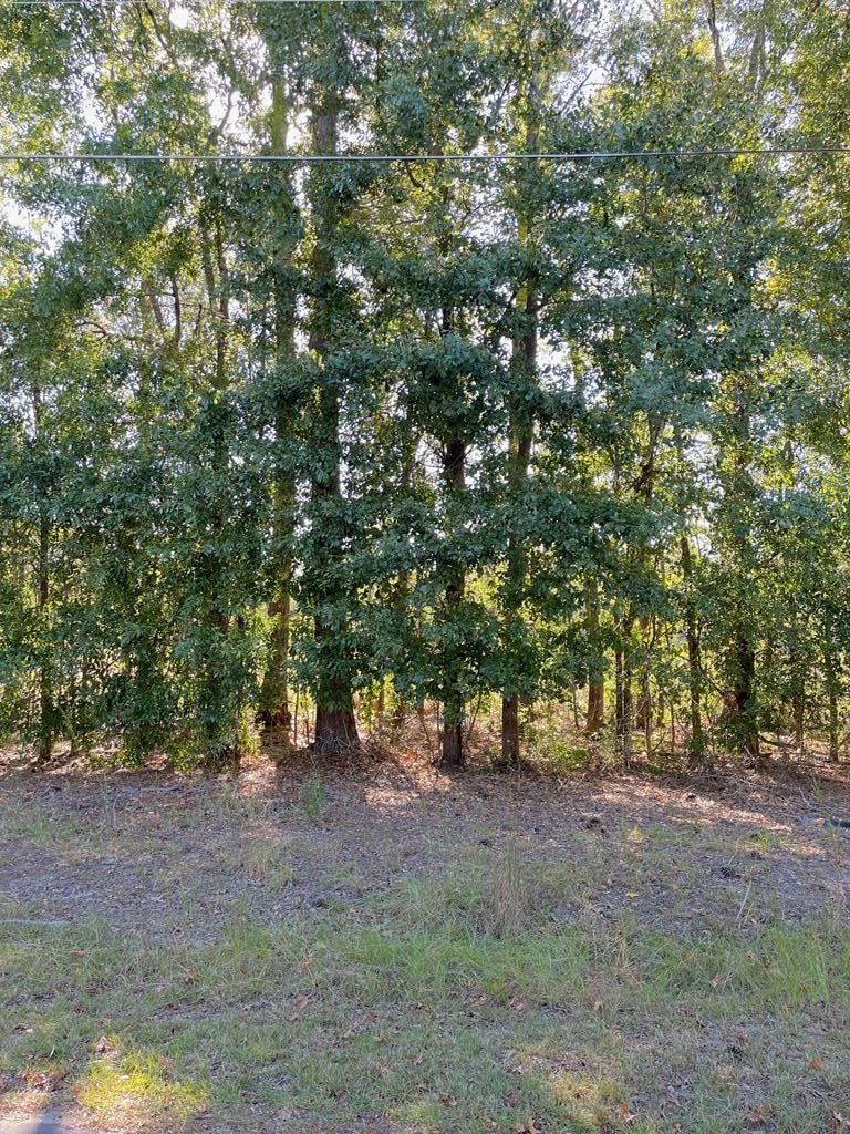 0 Inizer Dr, Vidalia, GA 30474 - photo 1