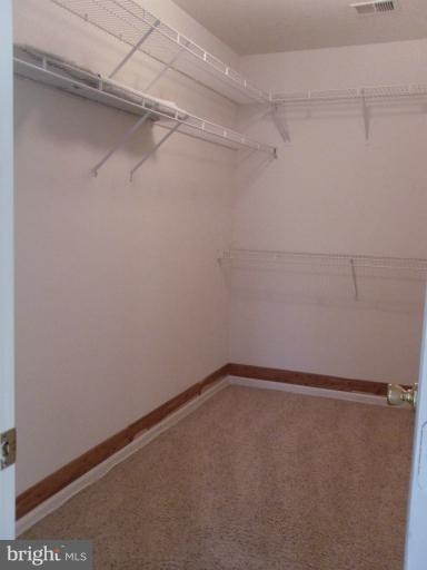 4911 Fox Creek Ct, Chantilly, VA 20151 - photo 1