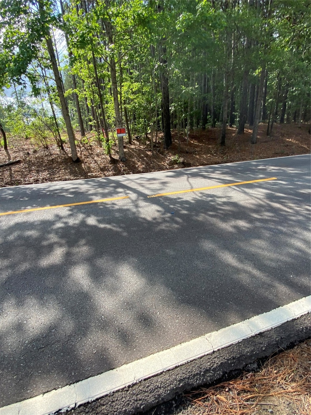 000 Old Plain Dealing Rd, Plain Dealing, LA 71064 - photo 1