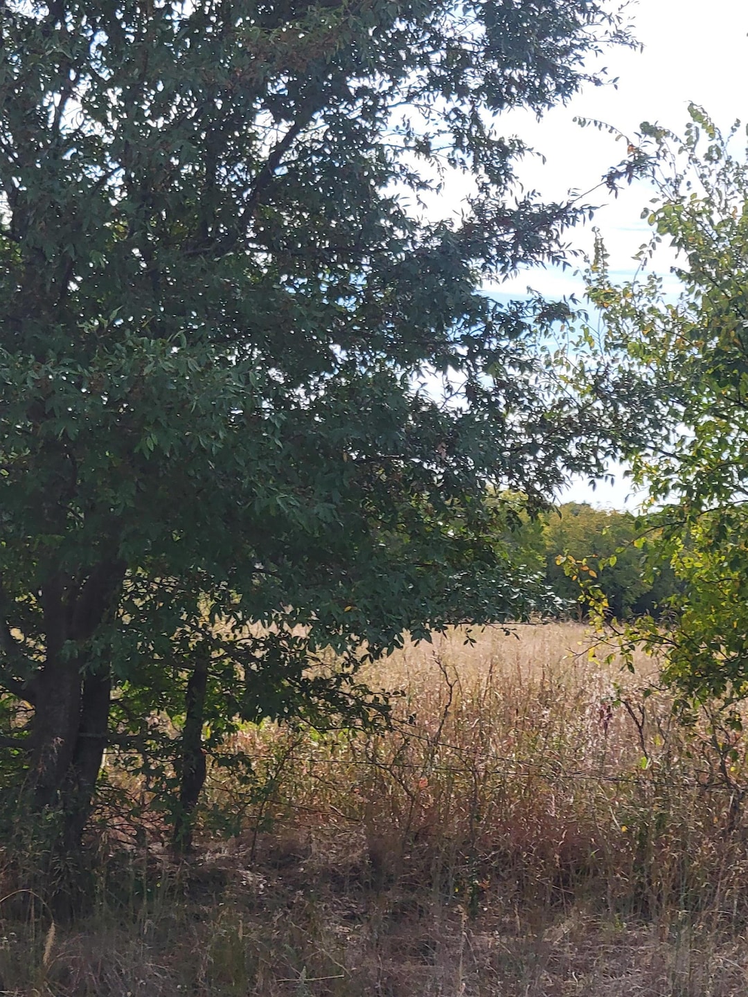 276961 276961 E 1740 Rd, Duncan, OK 73533 - photo 1