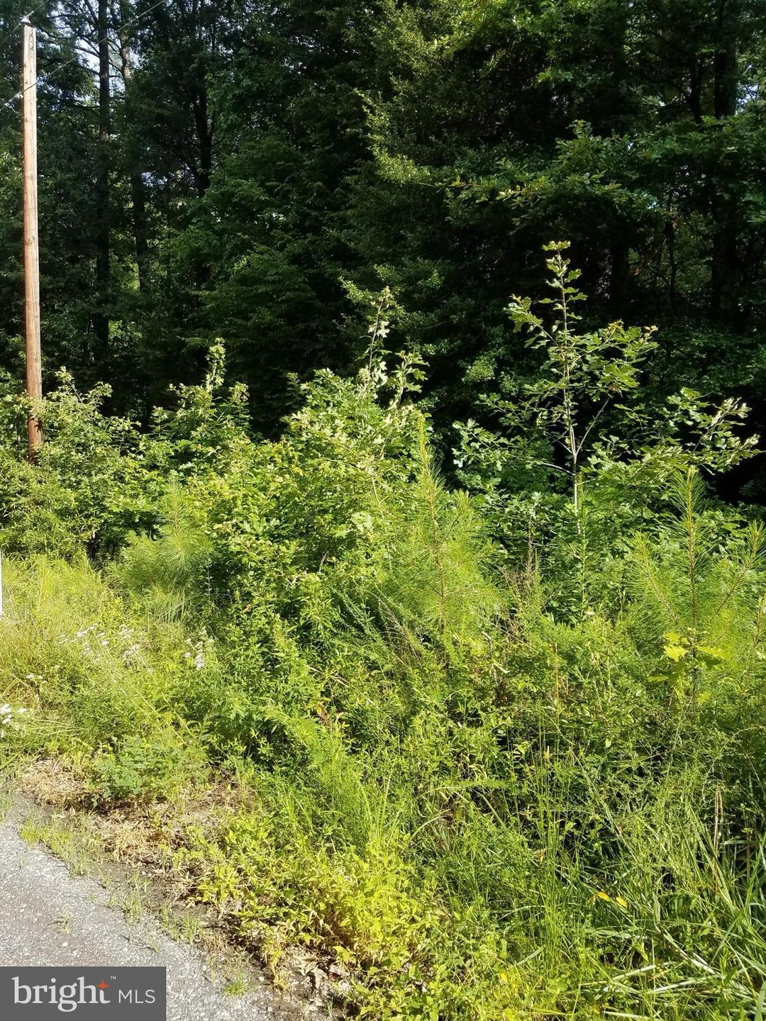 11 Hickory Ln, Colonial Beach, VA 22443 - photo 1