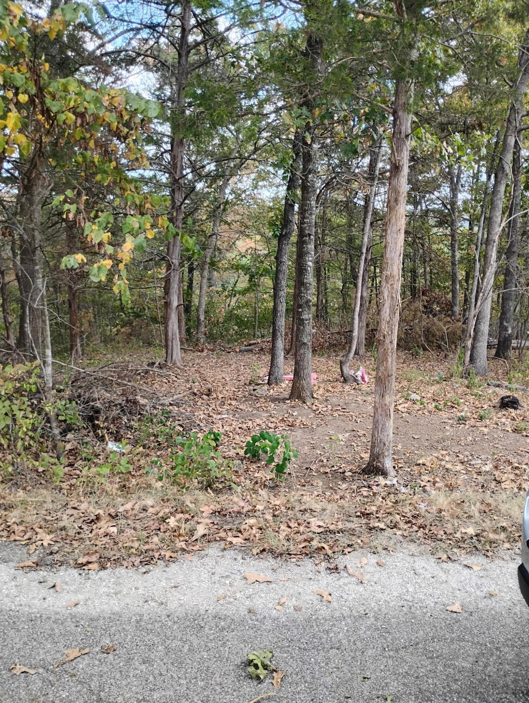 280 Mach Ln, Swan Township, MO 65740 - photo 1