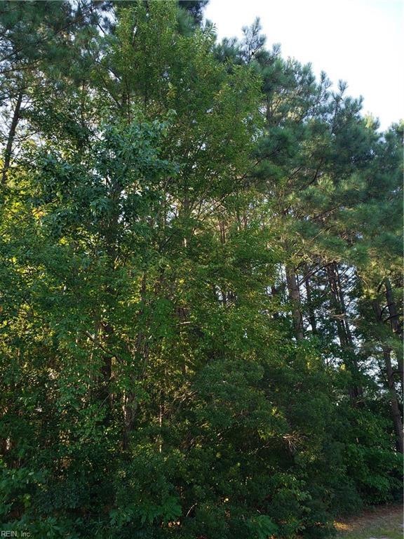 6.75ac Guinea Rd, Hayes, VA 23072 - photo 1