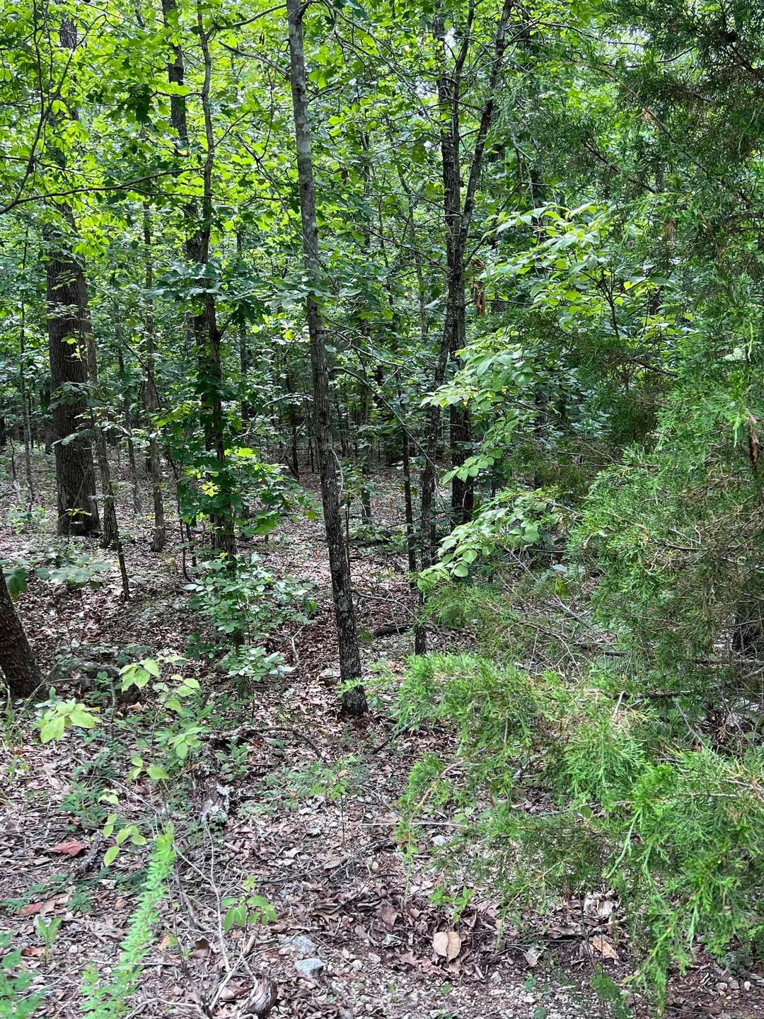 20 Acres Greene Road 610, Paragould, AR 72450 - photo 1