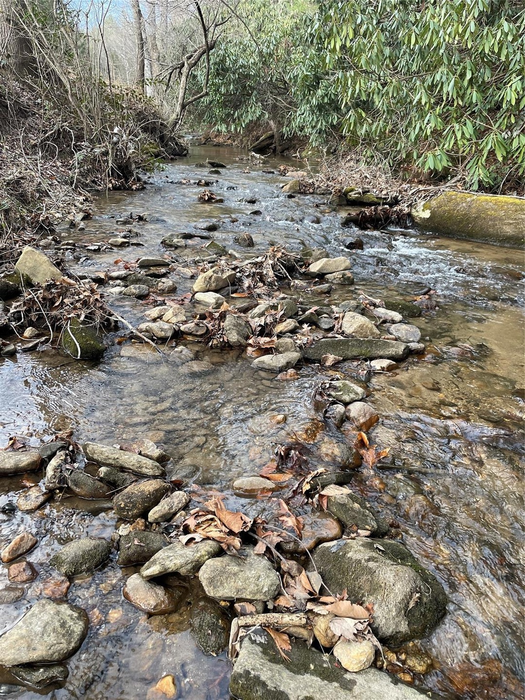 Old 421 Boone Trail, Purlear, NC 28665 - photo 1