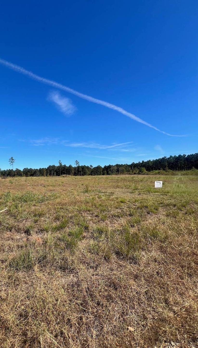 451 Tobe Nabours Rd, Many, LA 71449 - photo 1