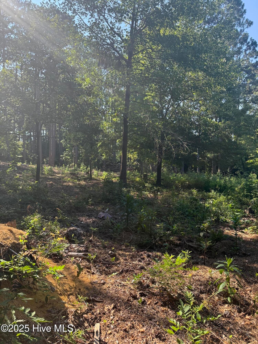 For Sale $95,000 • Co-Listing Agent