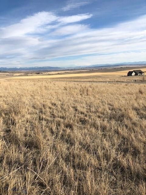 view from the center of the property looking south