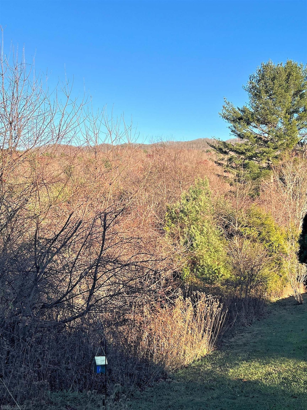 TBD River View Ln, Hiwassee, VA 24347 - photo 1