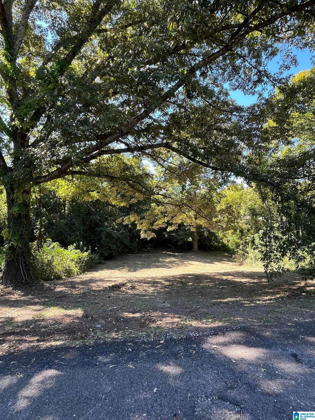 Sold $28,000 • Co-Listing Agent