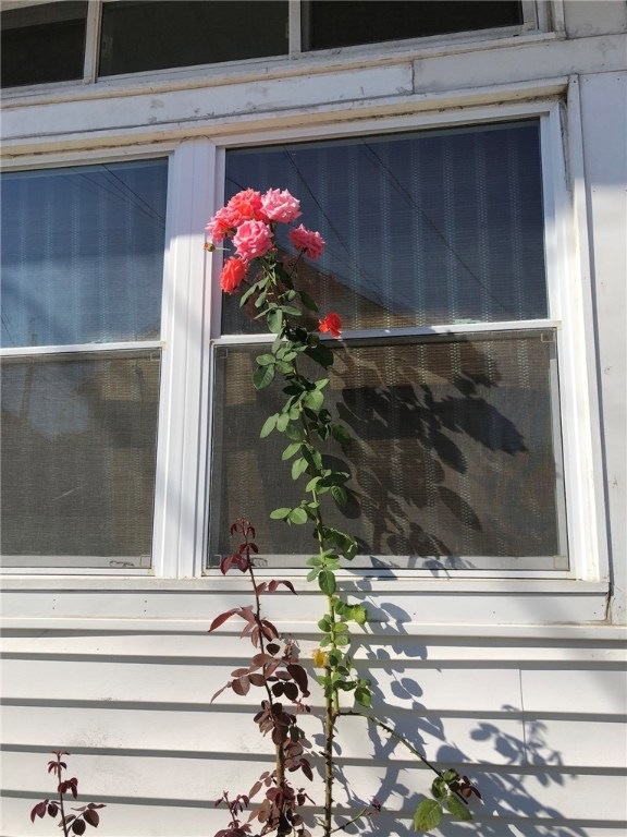 53 Pierce St unit 2, Westerly, RI 02891 - photo 1