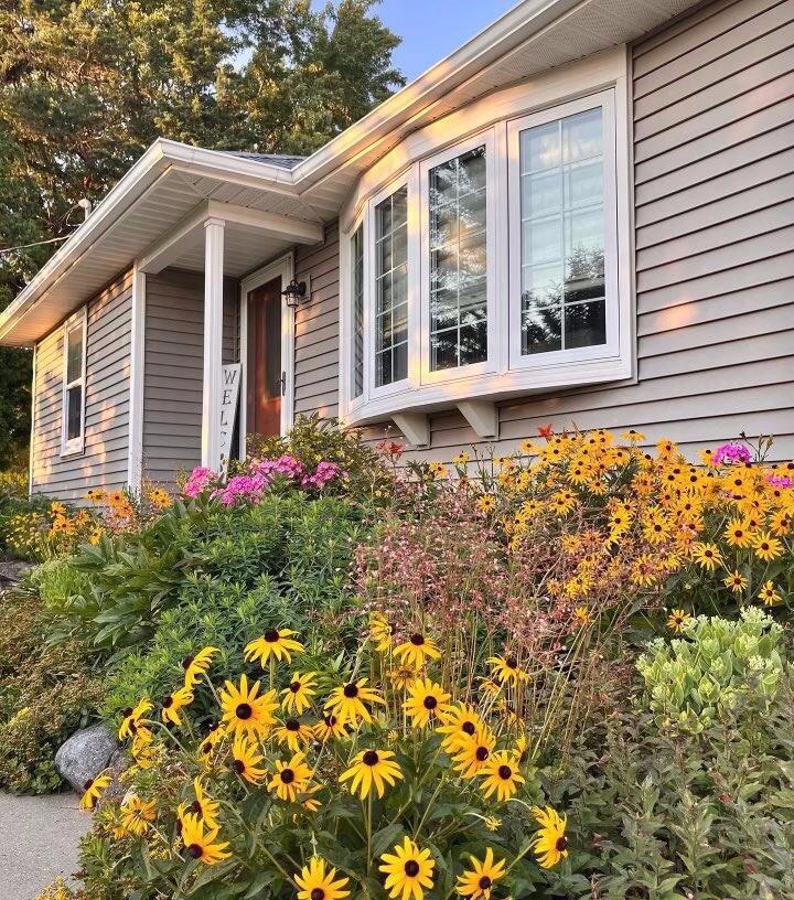 Flowers in the spring