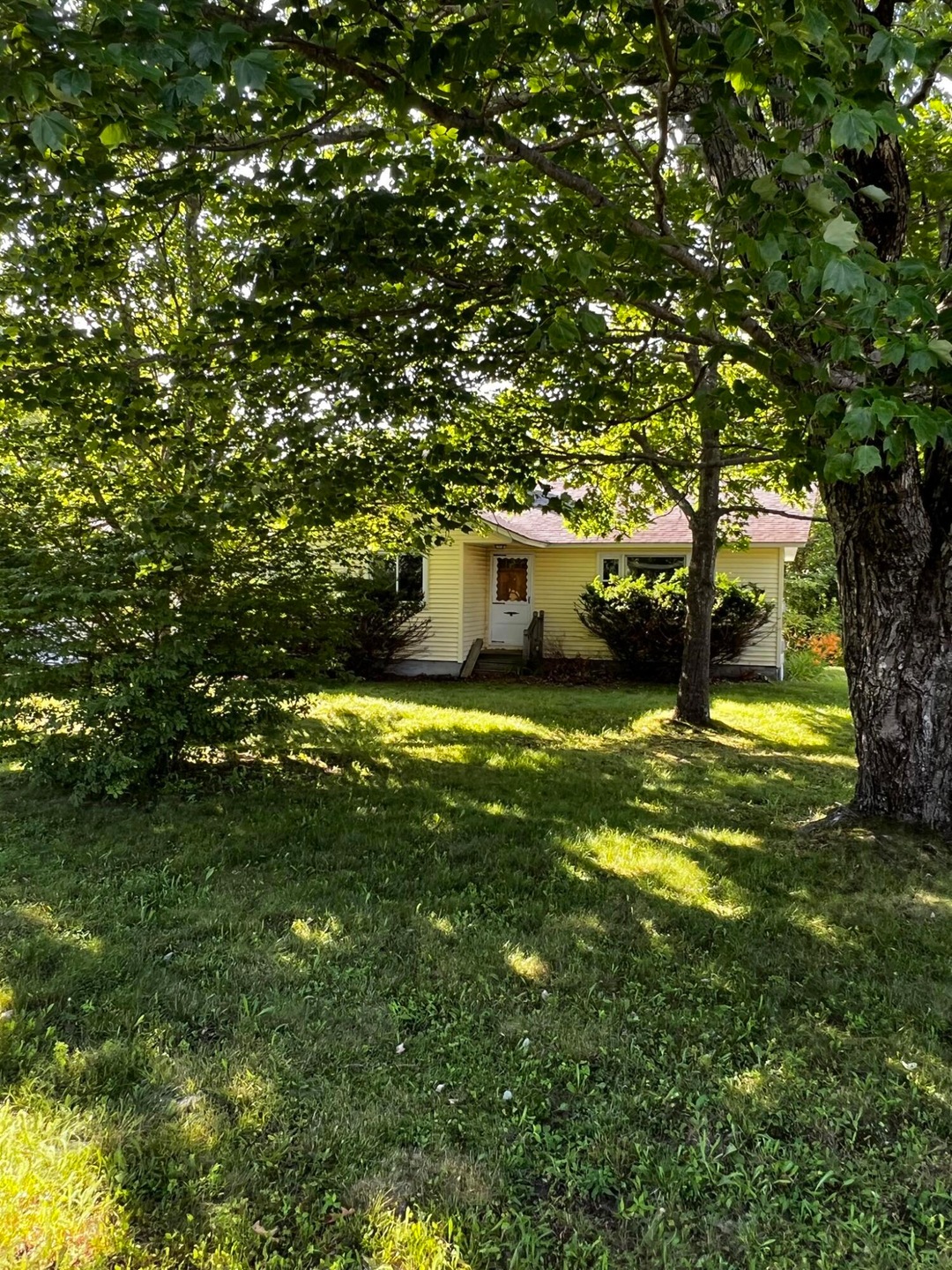Welcome to 7 Forrest Avenue!