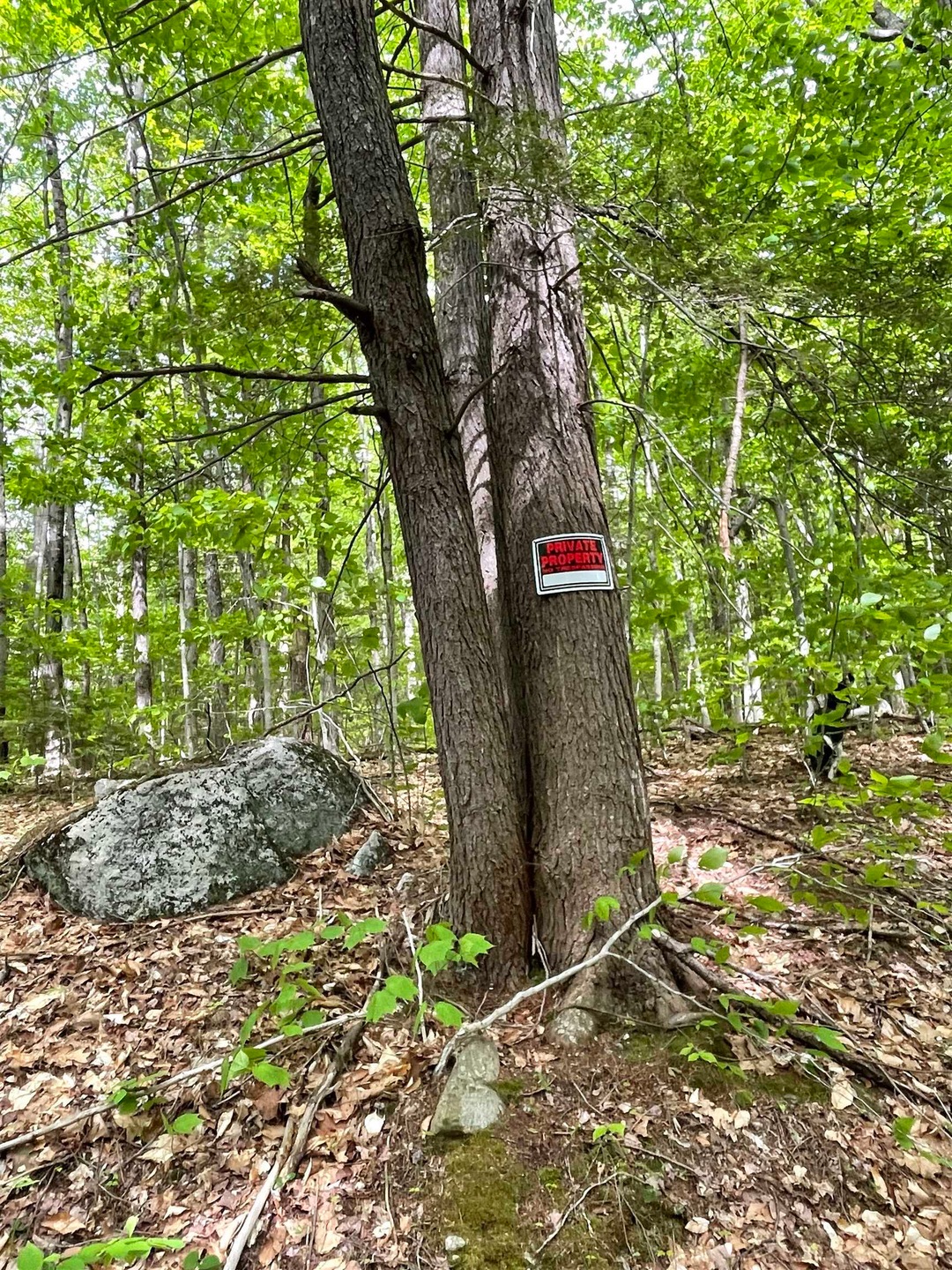 Lot 1 Old Roxbury, Meredith, NH 03253 - photo 1