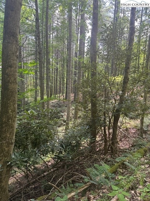 Lot 17 Sunny Ln, Crumpler, NC 28617 - photo 1