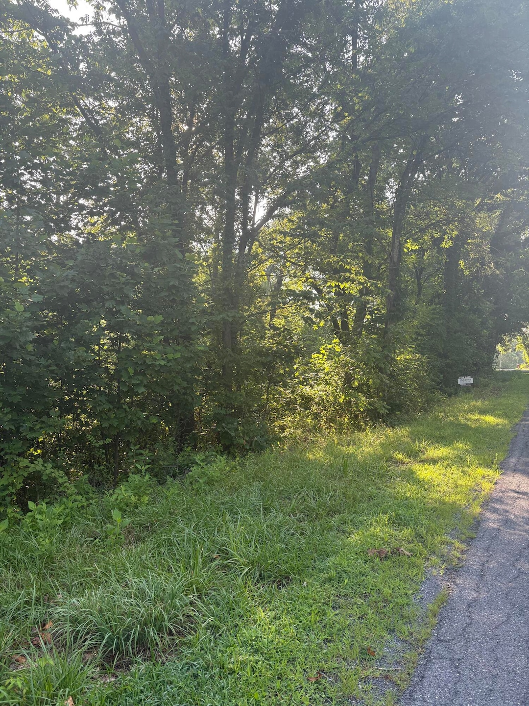 0 Oak Ridge Rd unit 919427, Buchanan, VA 24066 - photo 1