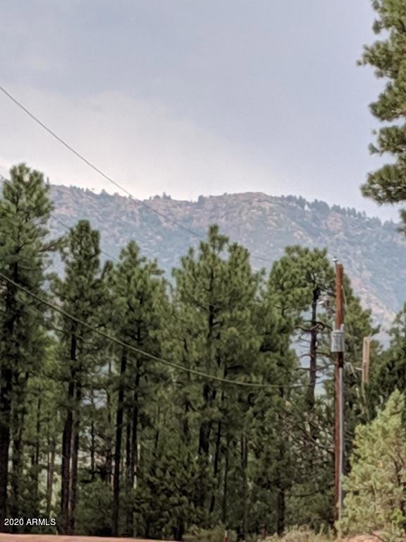 21B N Wild Oak Dr unit 20, Payson, AZ 85541 - photo 1