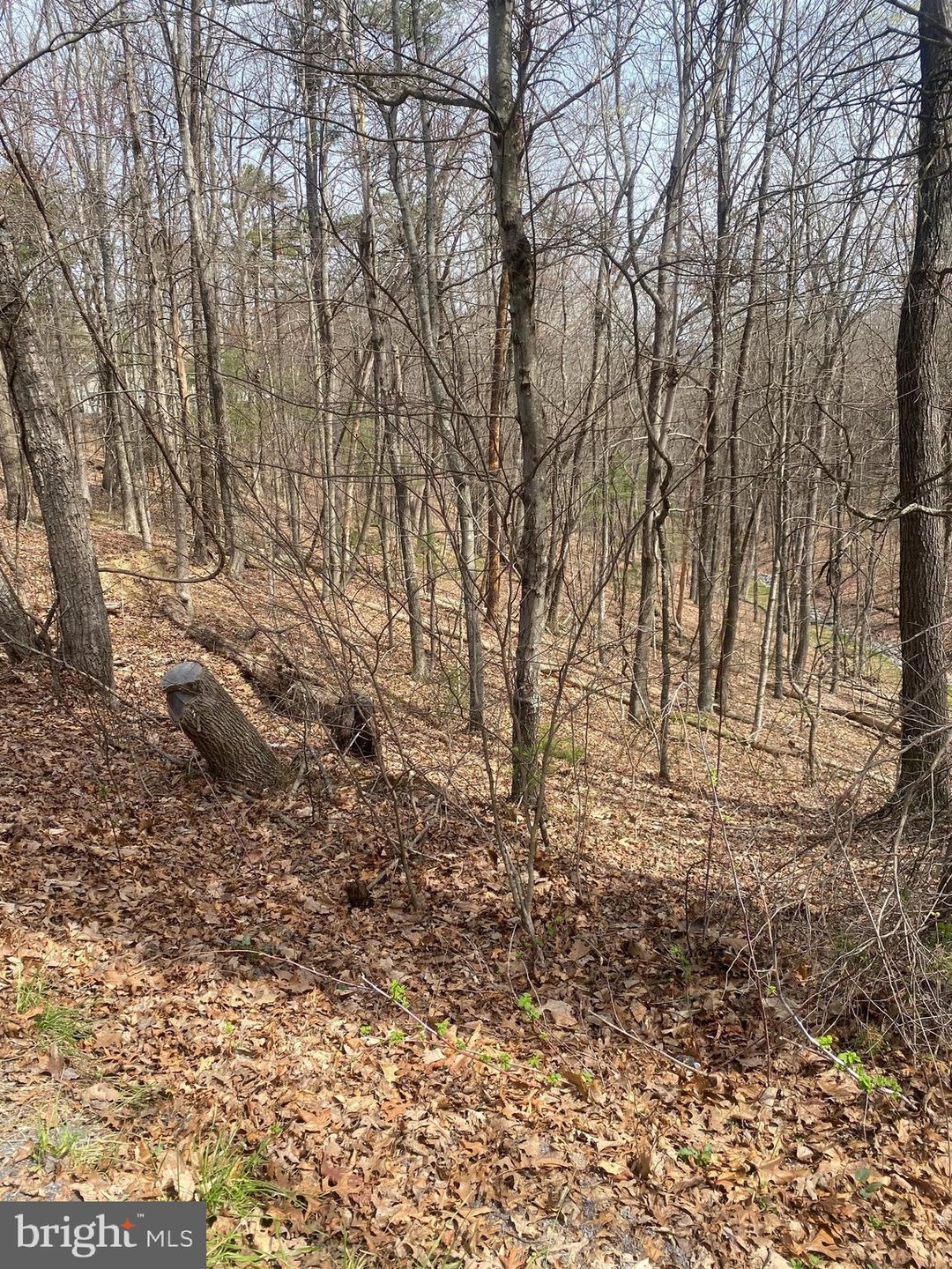 TBD Anderson, Basye, VA 22810 - photo 1