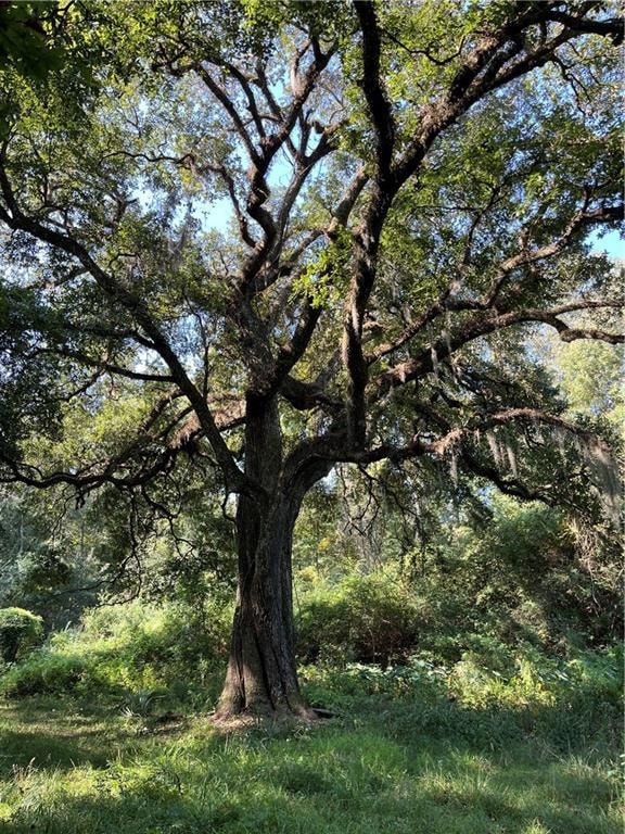 For Sale $560,000 • Co-Listing Agent