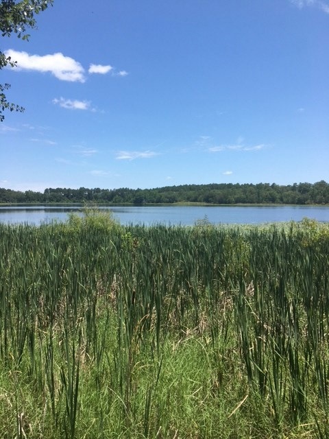 Lots 6/7 E Drive Paradise Cir, Donalsonville, GA 39845 - photo 1