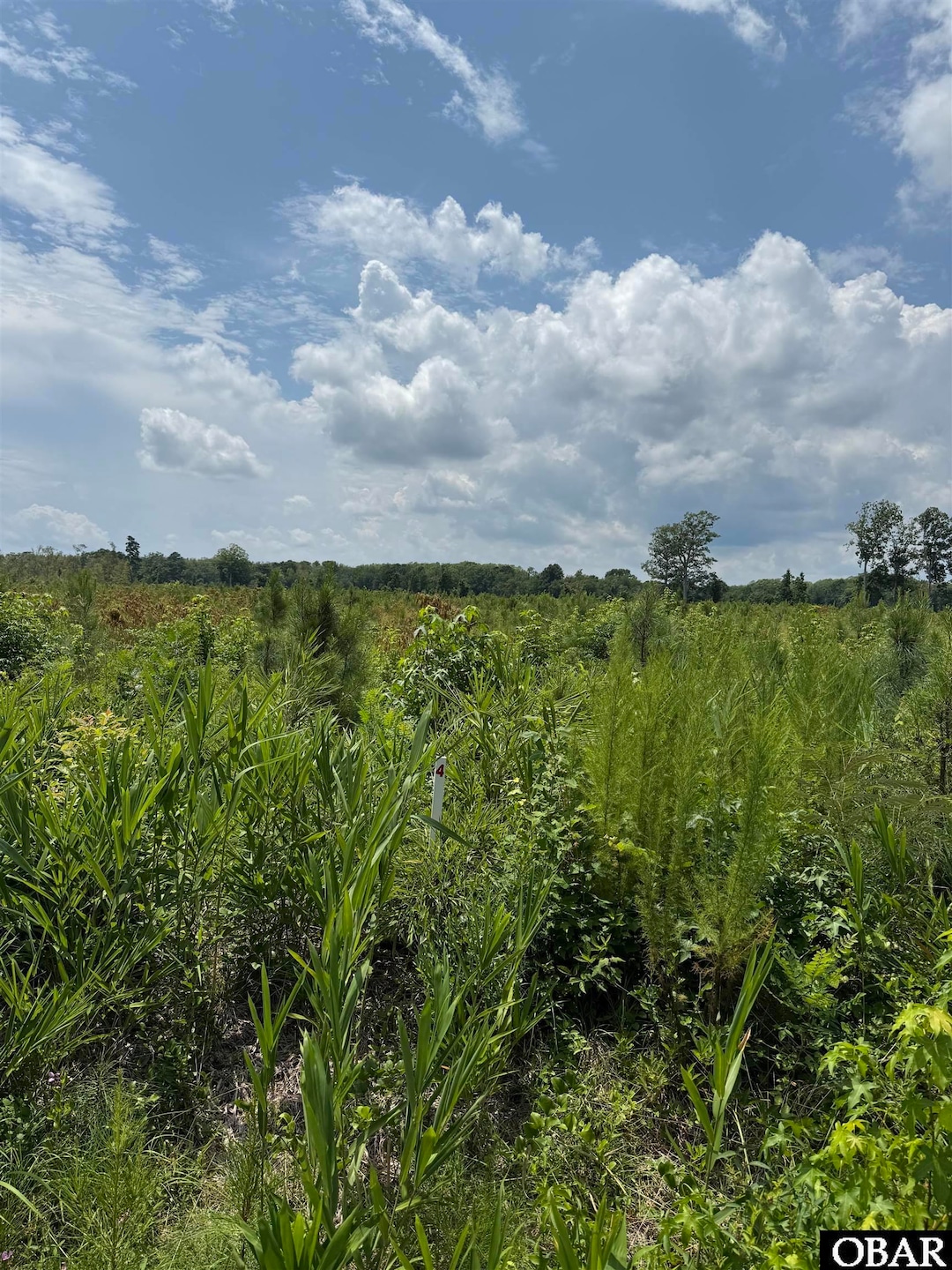 TBD Cove Rd unit Lot 4, New Hope, NC 27944 - photo 1